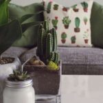 Sustainable Living: Eco-Friendly Decor Ideas for Your Home