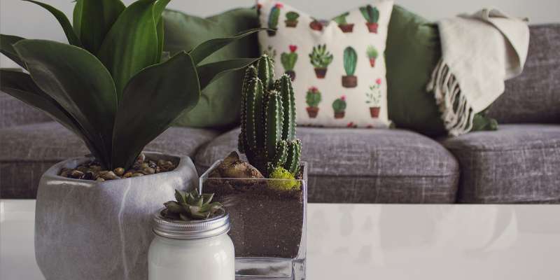 Sustainable Living: Eco-Friendly Decor Ideas for Your Home
